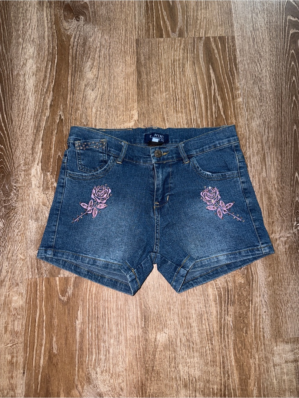 Vintage Y2K Denim Women's Shorts with Rose Embroidery